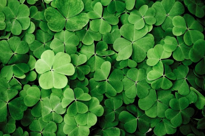st patricks day the other clinic counselling dublin