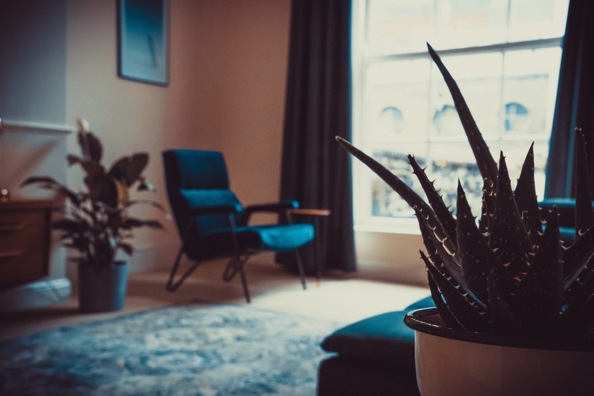 the other clinic counselling office