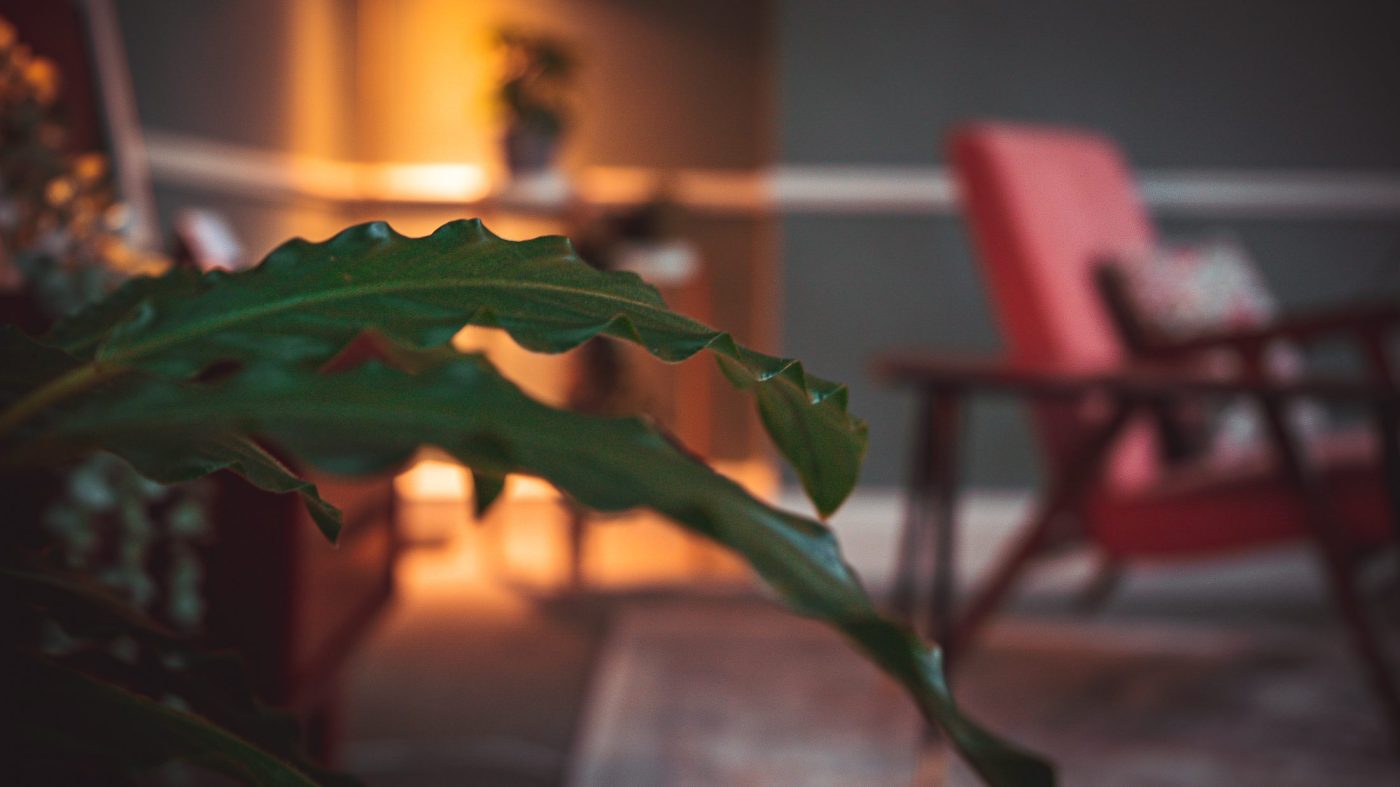 the other clinic therapy office