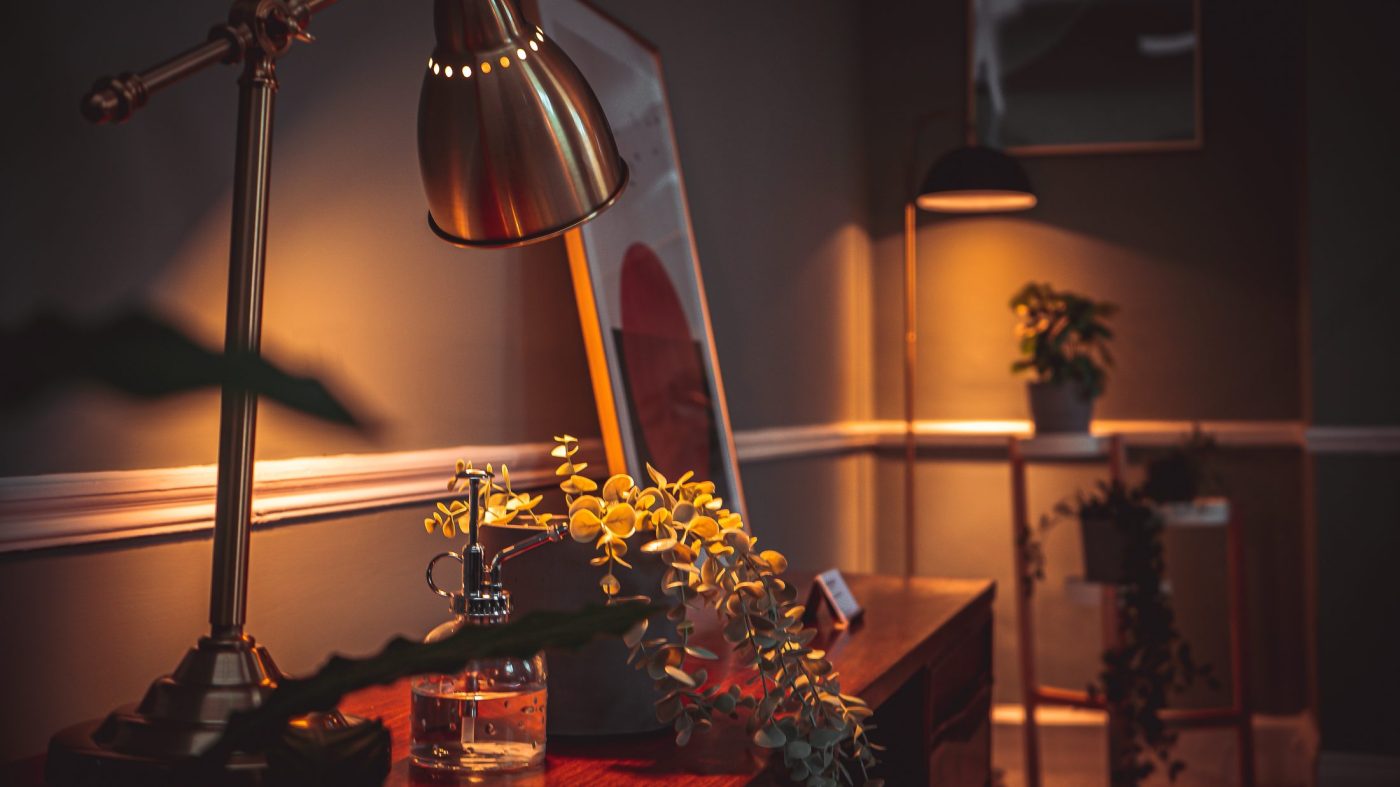 the other clinic plants and lamps